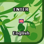 enter english site